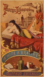Phoenix Lithographing Co.，White＆Brailey Owner，Buffalo and Chicago（color litho [trade card]） 作者 美国学校